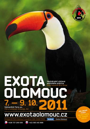 EXOTA OLOMOUC