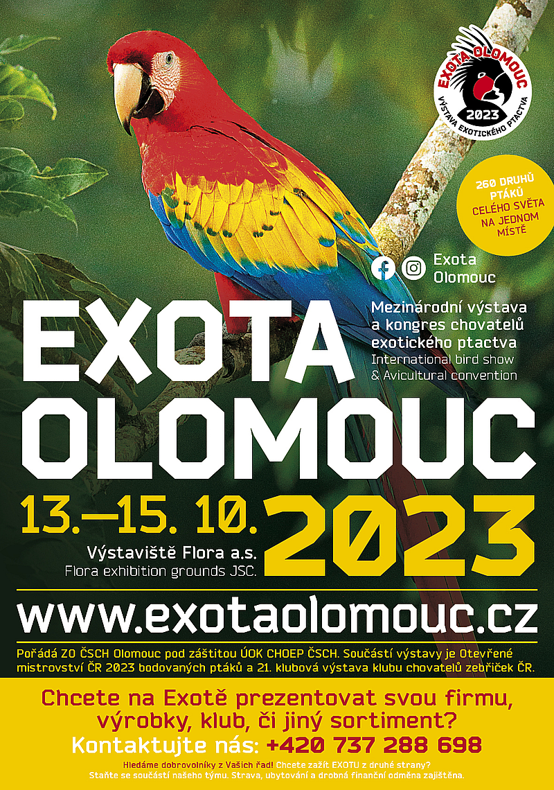 EXOTA OLOMOUC