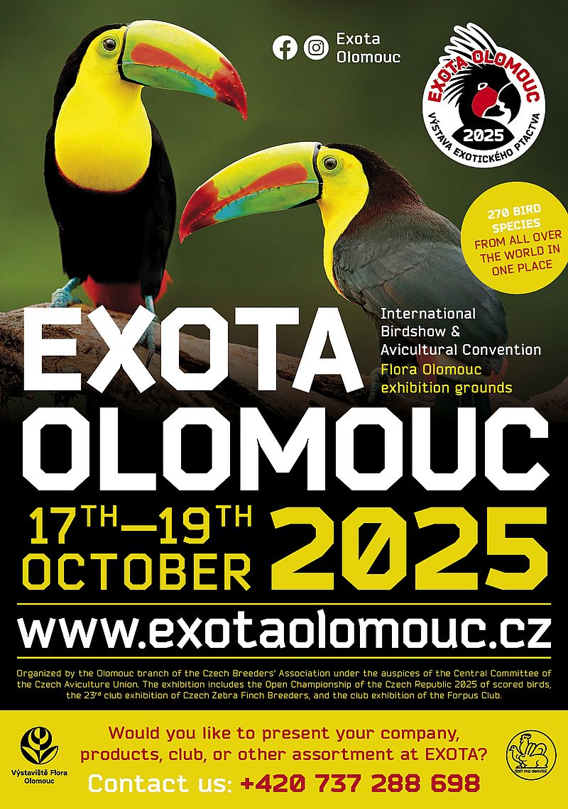 EXOTA OLOMOUC