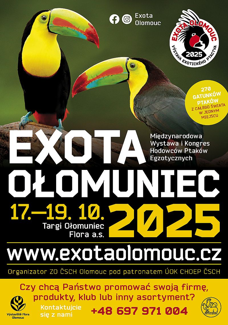 EXOTA OLOMOUC